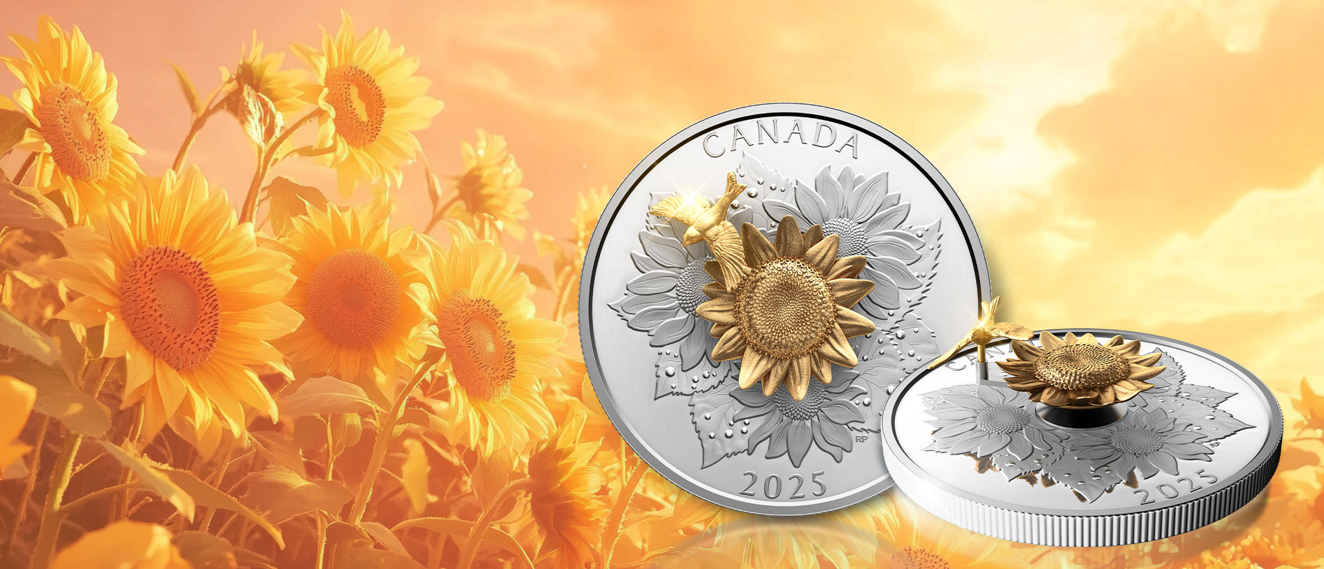 <p>Canadian&nbsp;Gilded Proof Silver Coin</p>